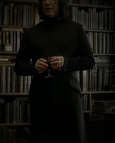 The Intriguing Relationship Between Snape and Narcissa Malfoy