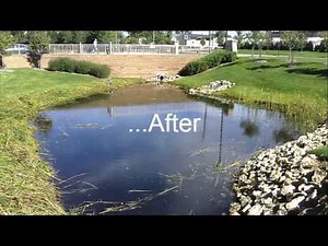 CATTAIL CONTROL METHODS
