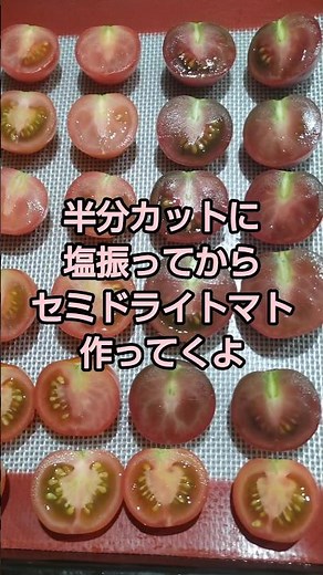 【簡単レシピ】セミドライトマトの作り方【オーブン】 [Easy Recipe] How to Make Semi-Dried Tomatoes [Oven]#ドライトマト #作り方 #パスタ
