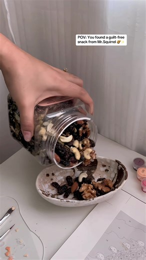 Guilt-Free Mixed Nuts: Perfect Snack from Mr.Squirrel