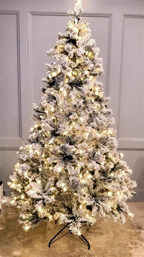 Watch What You Need To Know About This Tree on Amazon Live