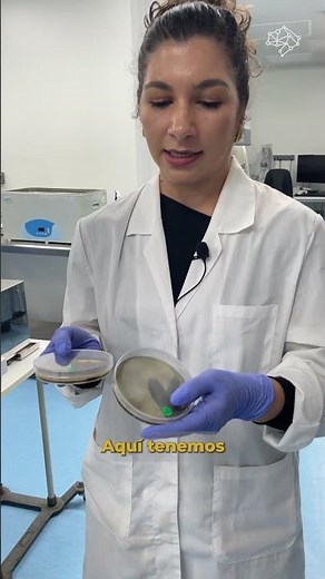 Así estudian cómo crece la listeria en quesos frescos artesanales 🧀🧫