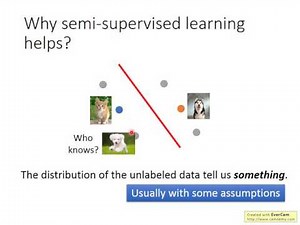 ML Lecture 12: Semi-supervised