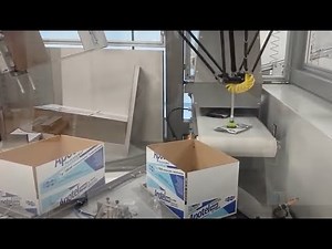Sachet Pouch Robotic Case Packing & Palletizing system