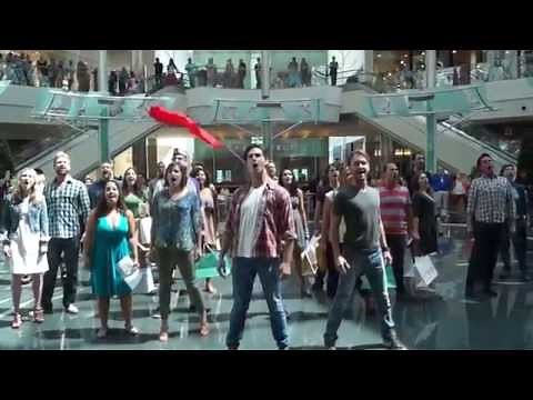 Les Misérables Flash Mob - Orlando Shakespeare Theater