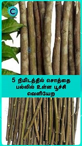 Dr. Mayan Senthil Kumar explains a simple Siddha method to clear tooth decay and worms in just 5 minutes. Get instant relief and keep your smile healthy! 🌿✨ #wellness #health #bhfyp #relax #training #fitfam #bodybuilding #vegan #fitnessmotivation #yoga #healthyfood #healthylifestyle #loveyourself #natural #skincare #weightloss #positivevibes #selflove #nutrition #organic #selfcare #cosmoreels #cosmohealth #drmayansenthilkumar | Cosmo Health