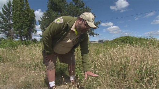 Multnomah County, firefighters cracking down on homeowners with overgrown grass during fire season