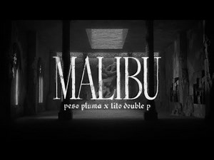 malibú - Peso Pluma & Tito Double P (Lyric Video)