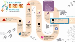 5 comments | I wanted to create a video journey of our last three years with the birds and wildlife in our backyard. You may want to watch this on a larger screen, but this captures the highlights over the last three years! And thank you for celebrating with us! | Backyard Birding Paradise | Facebook