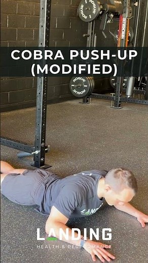 Cobra Push up Modified - Exercise Demo