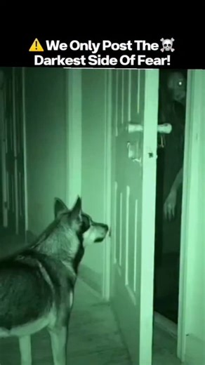 Depth Of Scare - The Darkest Corners of Fear on Instagram: ""The Algorithm That Watches Back" 🇺🇸🧠 In Seattle, Washington, a data scientist named Dr. Ellis Hartman worked for a tech startup developing AI algorithms that tracked online behavior. Late one night, he accessed a private server labeled “Archive X” — a file never meant to exist. Inside, there were endless rows of data logs… each labeled with real names, faces, and timestamps from future dates. When he opened one tagged with his own n