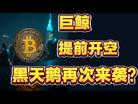 BTC暴跌后喘息，巨鲸又来做空？！舒琴认为熊市来临，以太坊明年空到2000以下，陈哥BTC空单两连吃！现在的关键支撑位在哪？