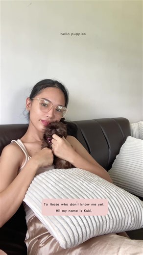 Kuki's Tiny Series - Meet a Dwarf Dog With Dwarfism!