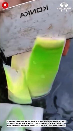 The Perfect Technique for Cutting Young Bamboo Shoots! Ready to Cook #gardeningtips #smartfarming