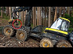 Biggest by Ponsse... Bear harvester