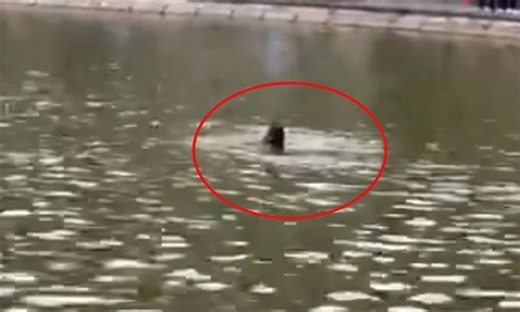 Đã xác định danh tính và nguyên nhân cô gái tử vong ở hồ Hoàn Kiếm, người thân tiết lộ thêm thông tin