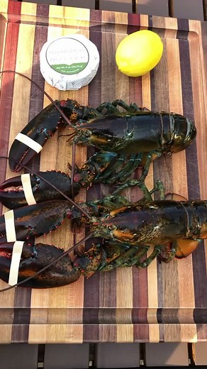 Delicious Grilled Lobster Recipe: Easy Cooking Tips
