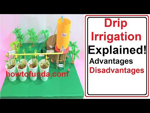 drip irrigation model explained(advantages and disadvantages) | howtofunda