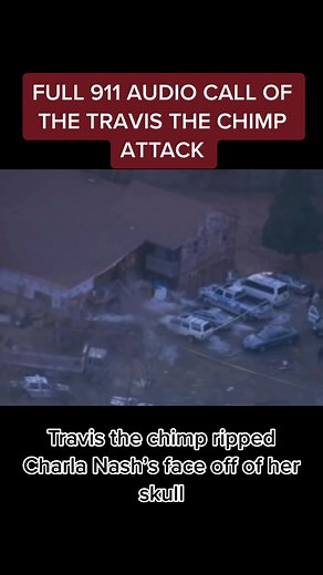 Travis the Chimp Attack: Full 911 Audio Call Revealed