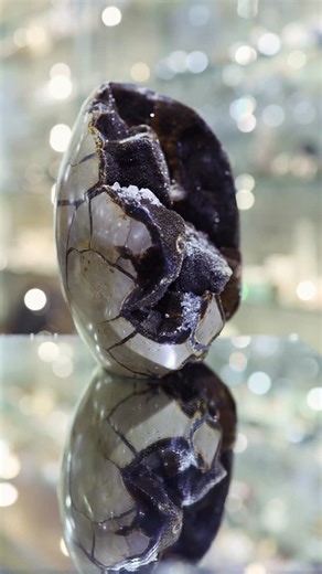 PIERRES D'AILLEURS on Instagram: "La Septaria 🧡 Surnommée « Pierre du Dragon », c’est une concrétion sédimentaire, composée principalement de calcite, d’aragonite et de calcaire. La date exacte de sa formation n’est pas totalement établie, mais elle se situerait entre le Crétacé (145 à 66 millions d’années) et le Paléogène (66 à 23 millions d’années). En lithothérapie, elle peut nous aider à calmer des émotions jugées trop intenses et à améliorer notre communication avec les autres. La Septaria