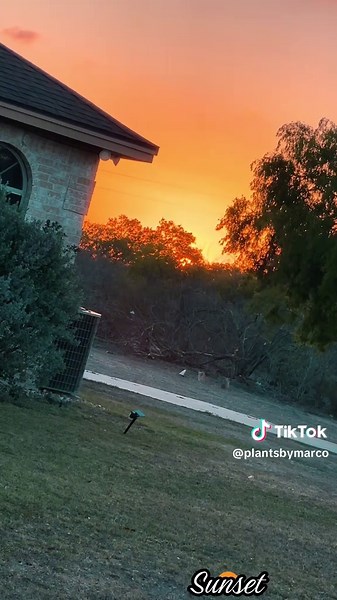 “A Little More Light” Here we are at the edge of the day, where sunlight unthreads and drifts away. The sky turns into a slow-burning song, that teaches the horizon how to let go strong. The world exhales through its tired seams, like ink dissolving out of dreams. Time folds softly, page by page— a golden hush on a fading stage. And in that quiet where colors bend, I feel something I can’t pretend. Like tides that return but never the same, like a candle still learning its flame. Not asking for 