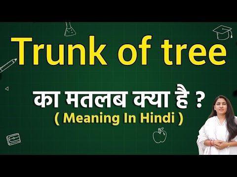 Trunk of tree meaning in hindi | Trunk of tree ka matlab kya hota hai | Word meaning