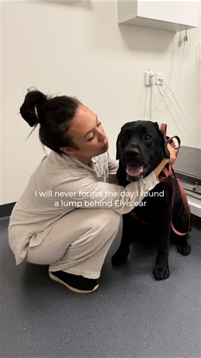 Spawday on Instagram: "”We are so thankful for our Spawdays, they can truly be life-saving. Taking the time to give your dog regular massages helps you learn their body and notice even the smallest changes early on🙏🏼 Take this as your sign to start your Spawdays today ❤️” - Mikaela # #dogs #doghealth"