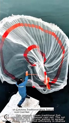 Fish Catching Traditional Work Tool Using Manual Cast Net #worktool