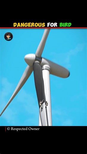 Illustration Of A Windmill !😧 #shorts