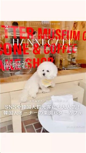 【大阪犬連れカフェ】韓国人が集まるカフェが大阪に？濃厚バターの焼き菓子カフェ🧈 #shorts