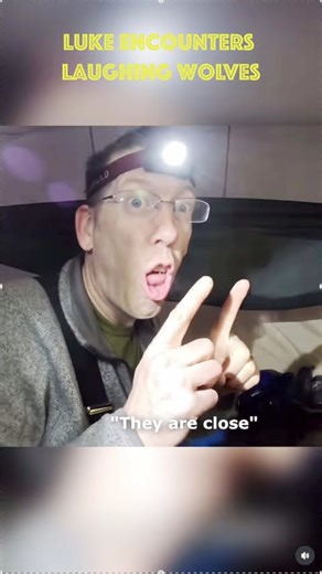 Laughing Wolves Outside Our Tent! 🐺😂 | Luke & Jacob’s Wild Encounter #OutdoorBoys #LaughingWolves