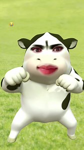 Cow Couple Reaction😭 — Short Video Clip