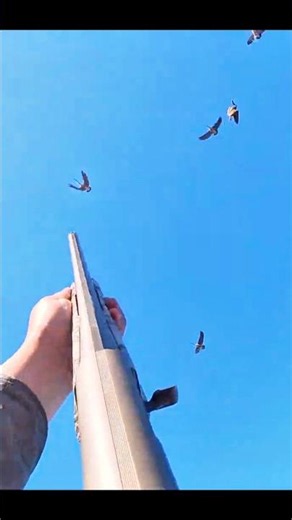 The Perfect Goose Hunting Shot #birdhunting #hunting #goosehunting #huntinglife
