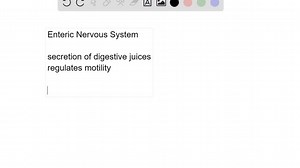 Explain how the enteric nervous system supports the digestive system. What might occur that could result in the autonomic nervous system having a negative impact on digestion? | Numerade