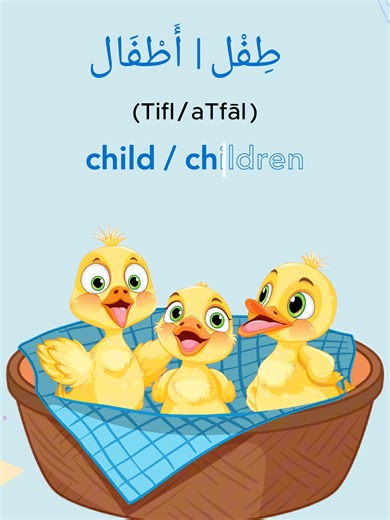 Essential Arabic Sentences for Beginners