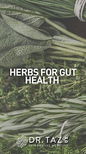 Explore the science behind gut health with these key herbs: 🌿 🔹 Marshmallow Root - Soothes the GI tract by forming a protective layer. 🔹 Ginger - Contains gingerol, which helps reduce nausea and inflammation. 🔹 Fennel - Anethole in fennel is known to reduce spasms and discomfort. 🔹 Slippery Elm - Its mucilage content supports a healthy digestive lining. 🔹 Chamomile - Acts as a natural antispasmodic and anti-inflammatory. 🔹 Licorice - Glycyrrhizin enhances mucus production, protecting your