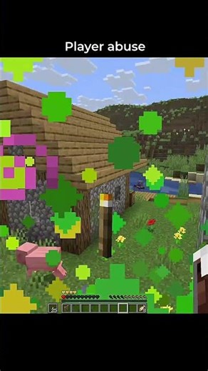 minecraft player abuse