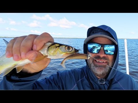 Best Lures for Catching Ladyfish - Spoon vs. Jig Experiment