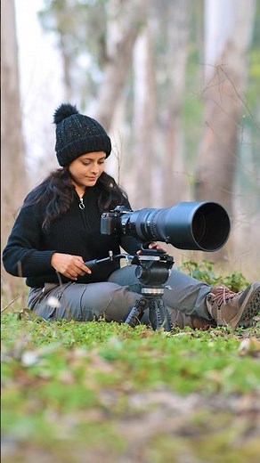 immerse yourself in the wilderness. #aparupadey #nikon #wildlife #tripod #revolve