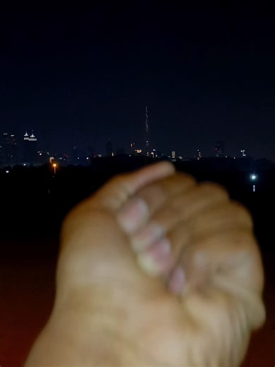 The Giant Cockroaches of Dubai: A Pest Control Guide