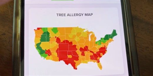 What the Tech: App of the Day, Allergy Plus