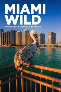 Miami Wild (2022) - Movie