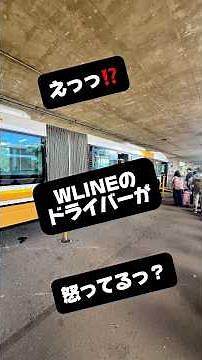【ハワイ】The Bus のWライン/7月からの値上げと注意点⚠️. #shorts #ハワイ旅行 #ハワイ最新情報