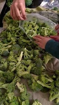 Broccoli Storing Tips to Keep It Fresh Longer #shorts #food #tips #broccoli