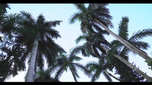 Surprising Guests with a Hidden Wedding Announcement