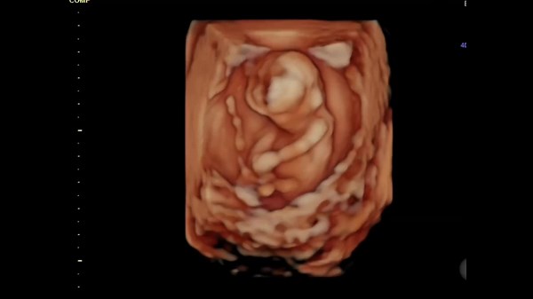 Consultorio "Dr. Nattes" on TikTok