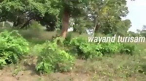 20 reactions · 14 shares | വയനാടിന്‍റെ പ്രകൃതി മനോഹരമായ കാഴ്ചകളിലൂടെ ഒരു യാത്ര | Wayanad tourism | Facebook