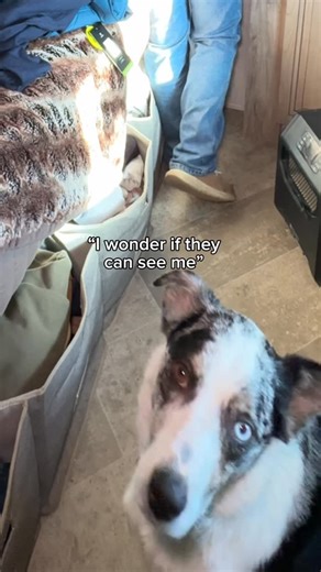 Victoria Christmas on Instagram: "We’re all settled in but we’ve been so busy over here exploring and seeing friends so I had a hard time getting on here! Sometimes the break is nice🥰 If you’re new here, hi my name is Tori! I live and travel full time in a camper with my blue collar man for his job on the pipelines! Follow along for camper tips, lifestyle vlogs, and all things blue collar!🫶🏽 #camperlife #lifeontheroad #bluecollarwife #bluecollarfamily #lifewithtori"