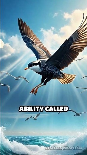 How Animals Navigate Using Earth's Magnetic Field