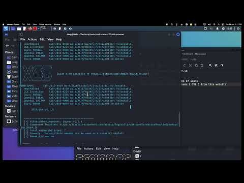 How to find website Vulnerability ( CVEs)